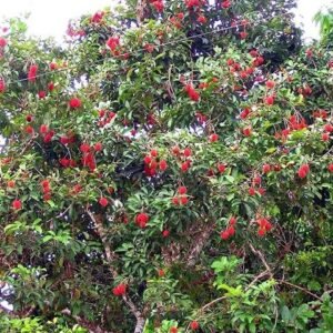 images (10)